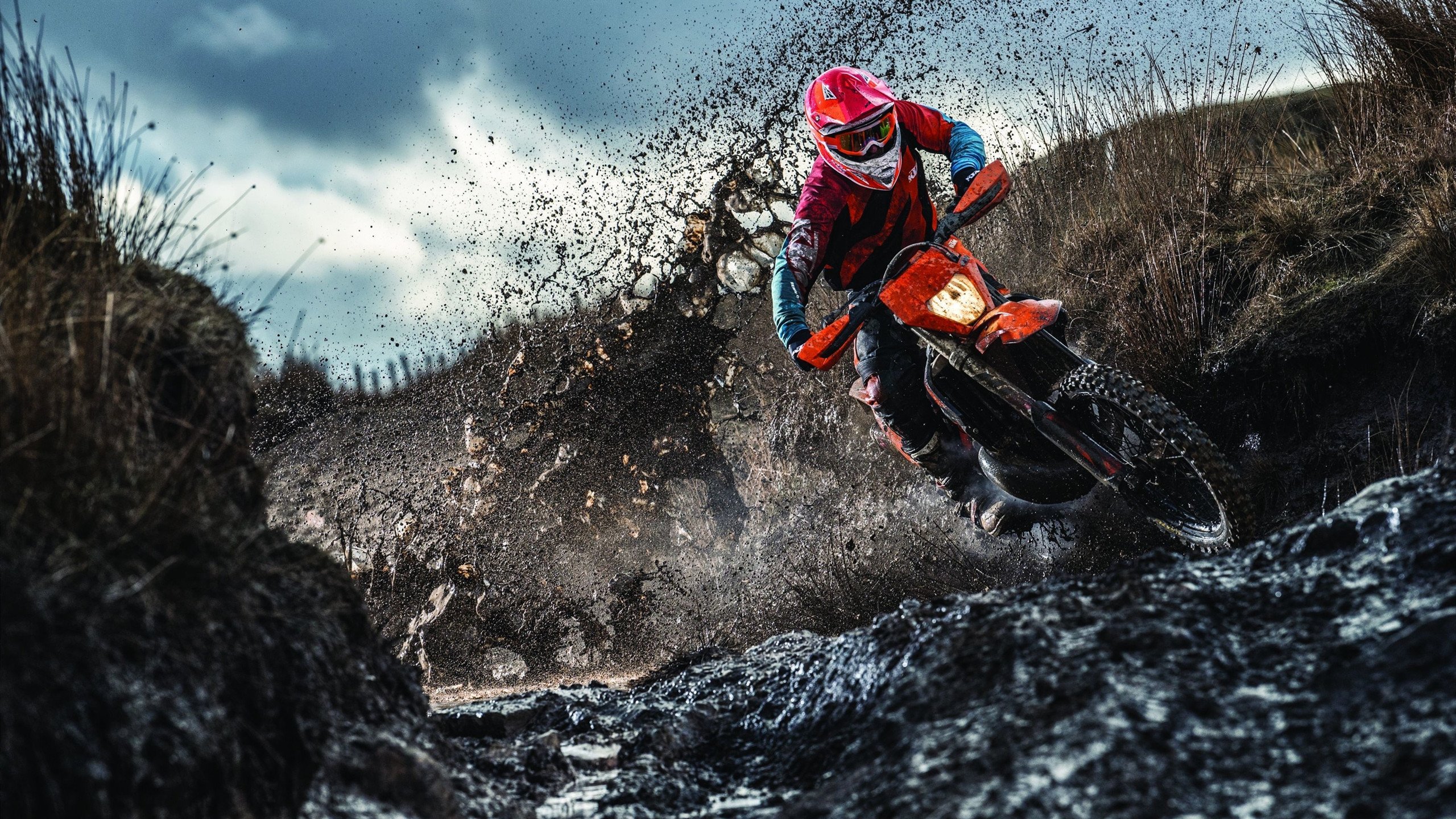 体育新闻中心发布体育内容创作者激励政策细则,体育新闻作品