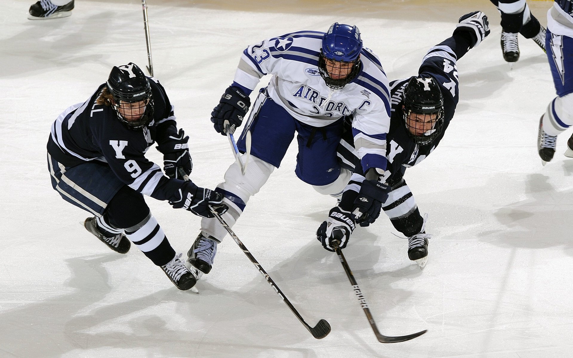 体育明星的巅峰时刻，体育界明星